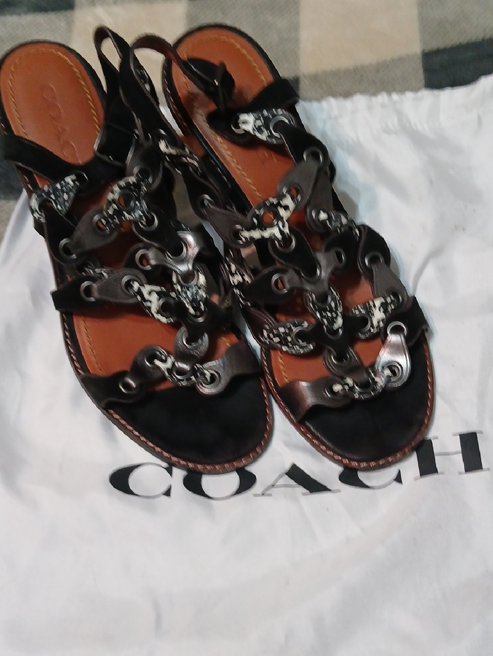 Coach - Picture 5 of 5